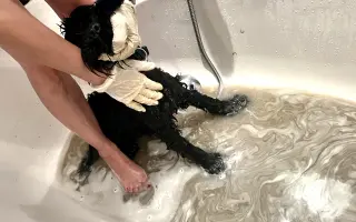 Operace očí  a veterina pro Medvídka Pú 🩷