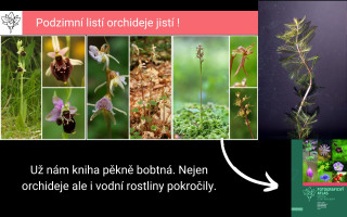 Fotografie všech českých rostlin v jedné KNIZE? Pojďme to dotáhnout!