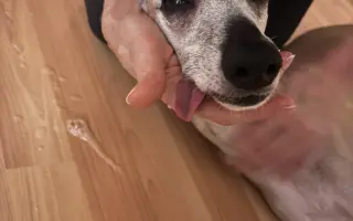 Pomoc pro Martinu a Draca po požáru domova