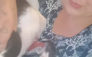 Pomozte našemu štěňátku Bleskovi přežít parvovirózu 🐾❤️