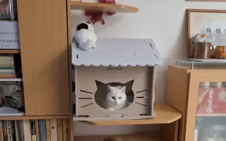 9 nalezených Lásek