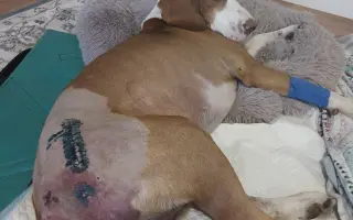 Pomozte Matýskovi zase běhat