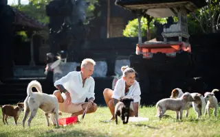 Pomozte vydat knihu Dům u kokosového stromu a dát psům na Bali šanci
