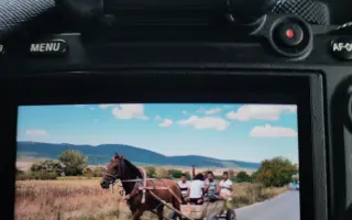 Z nuly zpět za hledáček - aneb nový začátek po velkém pádu