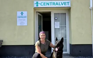 Pomohli jste zachránit Leylu