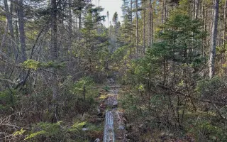 Jedu se učit měnit školství na Harvard