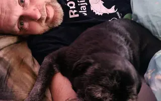 Voříškov přijal 45 nových chlupáčů - pomůžete spolu s námi změnit jejich příběh?