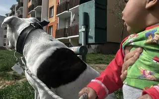 Hugo chce zase doběhnout své brášky