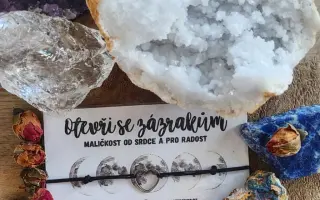 Z lásky k pokožce: Pomozte zrození ROSTLINKY 🌱