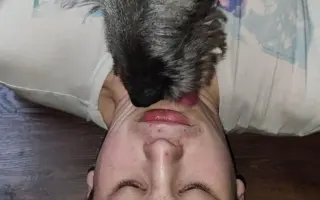 Pomozme uzdravit vlkodávka Hamishka