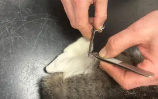 Pomohli jste Riovi zpátky na nohy