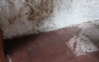 Zachraňme střechu Nadace Josefa Plívy