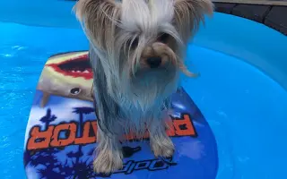 Pomozte Maxíkovi v boji s lymfomem