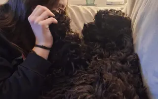 Pomohli jste Medvídkovi Pú k lepšímu zraku