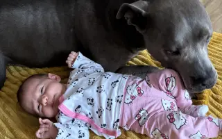 Sheilinka už dvakrát vyhrála. Pomozme jí bojovat potřetí.