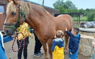 Úsměv těm, kteří jej potřebují - kontaktní terapie a hiporehabilitace