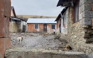 Záchrana pro psy ze slovenských osad 🩷