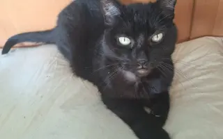 Úžasná Rozinka, která celý život pomáhala, nyní sama potřebuje pomoc