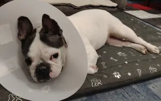 Zachráňte Marilyn bojující s rakovinou