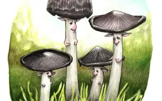 Podpořte KOLODĚJE - houbové hrdiny