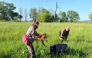 Létající záchranář – DRON na záchranu srnčat a dalších mláďat před sečením