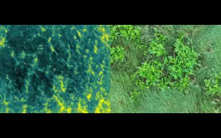 Termodron (nejen) pro záchranu mláďat při jarní senoseči