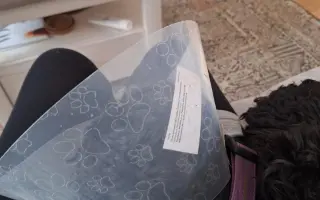 Pomohli jste Medvídkovi Pú k lepšímu zraku