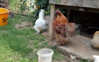 Pomoc pro Lukáše a Jitku