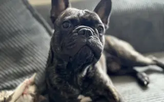 Pomozme Calvinovi zpět na nožičky