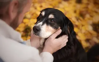Šmudlina se rozšiřuje - pátá etapa