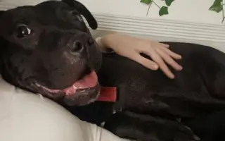 (⁠✿⁠ ⁠♡⁠‿⁠♡⁠)  Pro Koru, aby mohla opět běhat