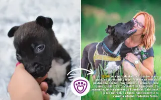 Každá kapka má smysl! Přiveďte vodu do centra pro handicapovaná zvířata