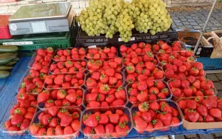 Podpořte lokální stánky s ovocem a zeleninou v Plzni!