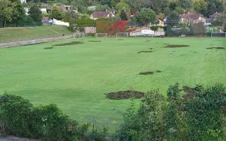 Oplocení fotbalového hřiště proti divokým prasatům