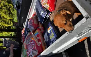 Pomozte nám pořídit útulkové auto pro převozy zvířátek v nouzi