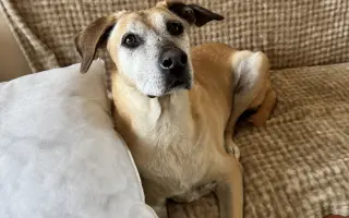 Aby tu s námi Caramelka byla déle💛🧡🤎