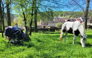 Funny, kráska s frakturou lebky