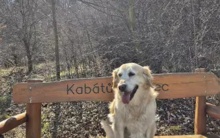 Za každé další ráno s Daisy 🐾
