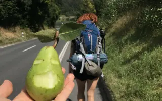 Objevte, co všechno se může stát na cestách – kniha Cestuj s Veru