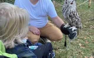 Svobodný pohyb pro malého Toníka