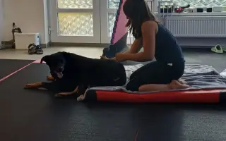 Mladou fenku srazil vlak, pomožme jí k pohybu rehabilitací.