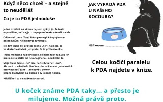 Podpořte vydání knihy Mami, kočky a autisty nepředěláš