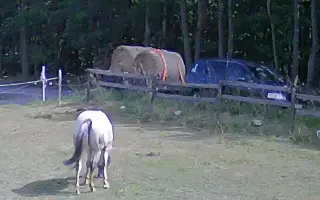 ❤️ Zachránit nestačí. Pomozte nám postarat se o ně dál...