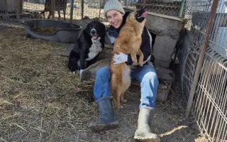 Vánoční sbírka: 100 plných misek pro rumunské pejsky