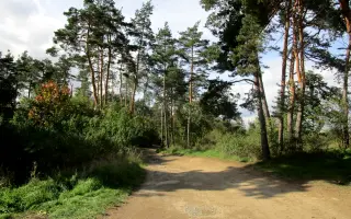 Zachraňme přírodu a rekreační zázemí Třebíče – podpořte obchvat, namísto průtahu