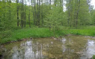 Podpořte Galerii 21