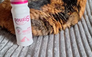 9 nalezených Lásek