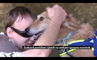 Canisterapie CANTES v krajích ČR jako sociální rehabilitace