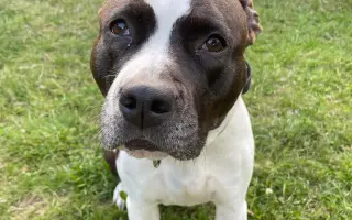 Mia ví, že čas běží… my můžeme prodloužit její chvíle