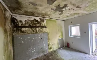 Zachraňme Letní kino Karlovy Vary